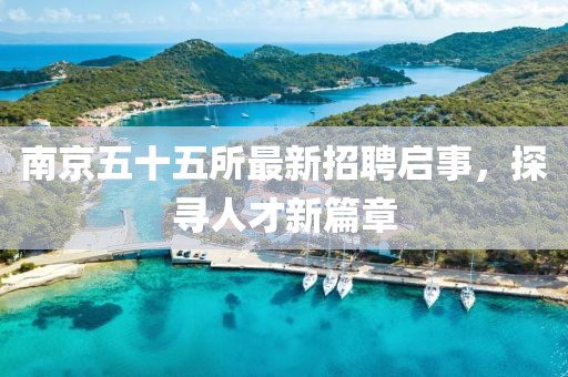 南京五十五所最新招聘启事，探寻人才新篇章