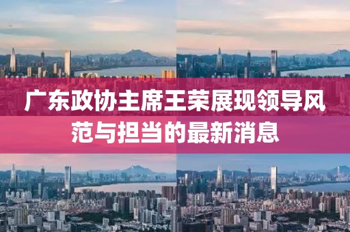 广东政协主席王荣展现领导风范与担当的最新消息
