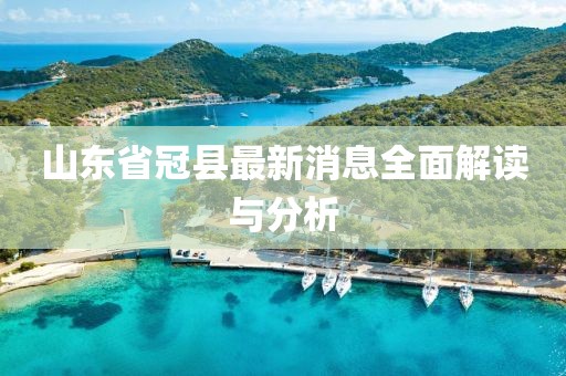 山东省冠县最新消息全面解读与分析