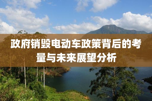 政府销毁电动车政策背后的考量与未来展望分析