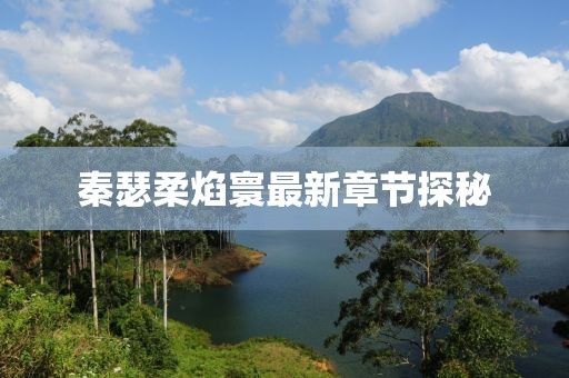 秦瑟柔焰寰最新章节探秘