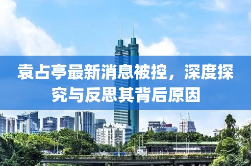 袁占亭最新消息被控，深度探究与反思其背后原因
