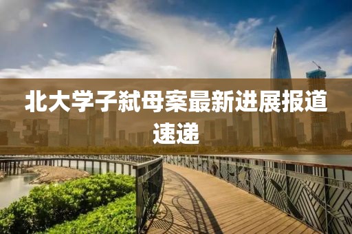 北大学子弑母案最新进展报道速递