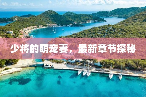 少将的萌宠妻，最新章节探秘