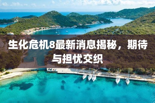 生化危机8最新消息揭秘，期待与担忧交织
