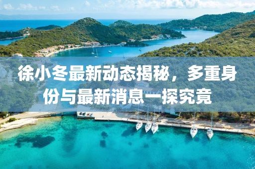 徐小冬最新动态揭秘，多重身份与最新消息一探究竟