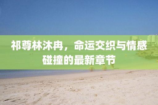 祁尊林沐冉，命运交织与情感碰撞的最新章节