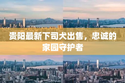 贵阳最新下司犬出售，忠诚的家园守护者