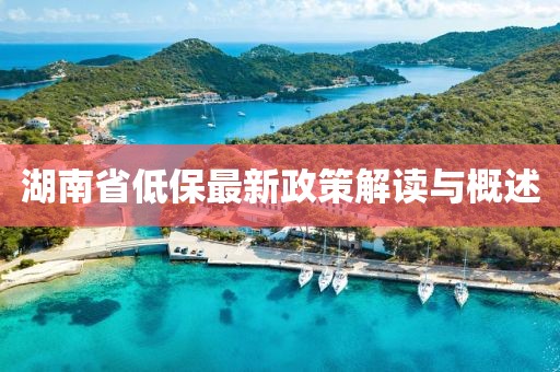 湖南省低保最新政策解读与概述
