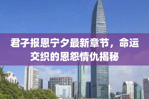 君孑报恩宁夕最新章节，命运交织的恩怨情仇揭秘