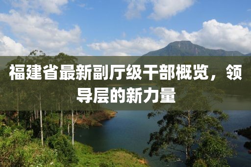 福建省最新副厅级干部概览，领导层的新力量