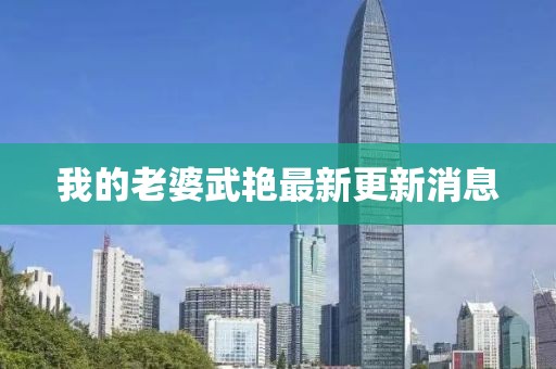 我的老婆武艳最新更新消息