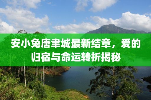 安小兔唐聿城最新结章，爱的归宿与命运转折揭秘
