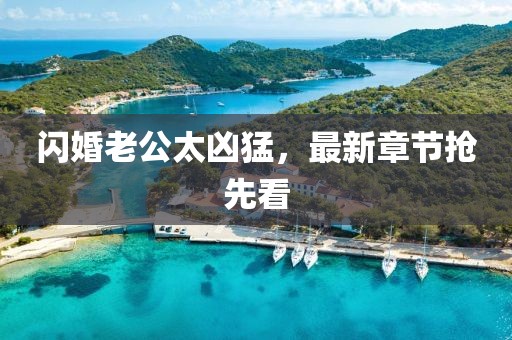 闪婚老公太凶猛，最新章节抢先看