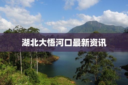 湖北大悟河口最新资讯