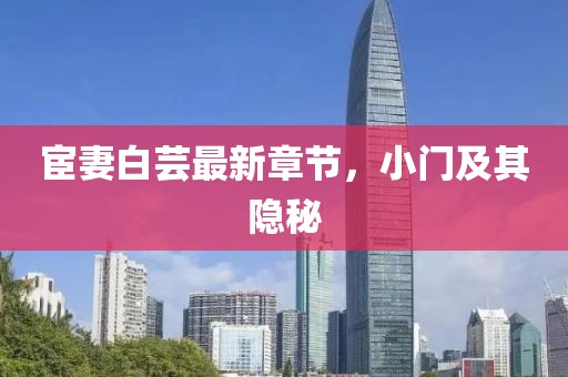 宦妻白芸最新章节，小门及其隐秘