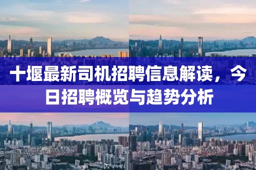 十堰最新司机招聘信息解读，今日招聘概览与趋势分析