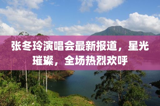 张冬玲演唱会最新报道，星光璀璨，全场热烈欢呼