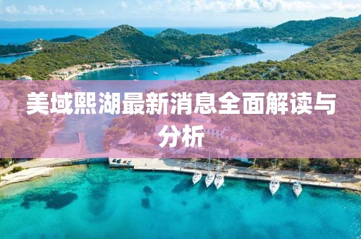美域熙湖最新消息全面解读与分析