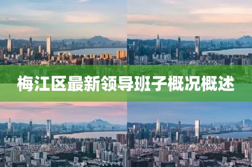 梅江区最新领导班子概况概述