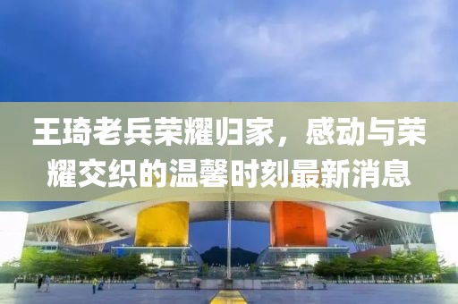 王琦老兵荣耀归家，感动与荣耀交织的温馨时刻最新消息