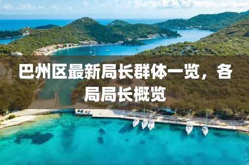 巴州区最新局长群体一览，各局局长概览