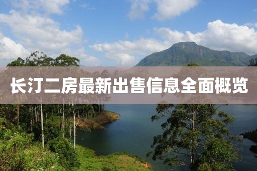 长汀二房最新出售信息全面概览