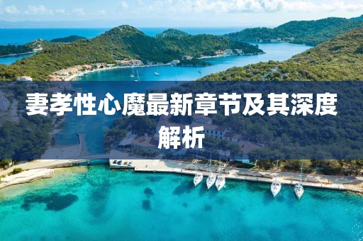 妻孝性心魔最新章节及其深度解析