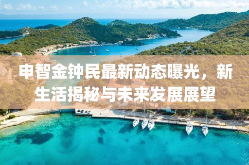 申智金钟民最新动态曝光，新生活揭秘与未来发展展望