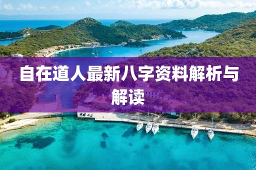 自在道人最新八字资料解析与解读