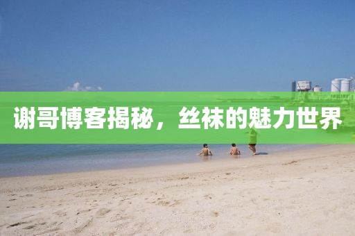 谢哥博客揭秘，丝袜的魅力世界