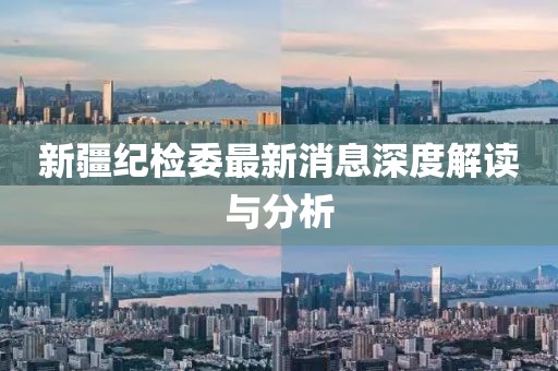 新疆纪检委最新消息深度解读与分析