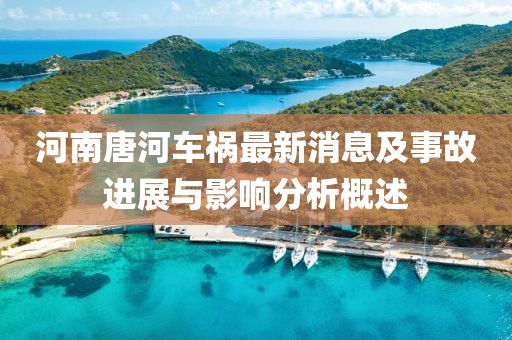 河南唐河车祸最新消息及事故进展与影响分析概述