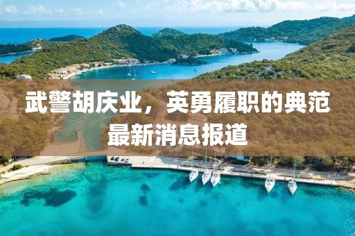 武警胡庆业，英勇履职的典范最新消息报道