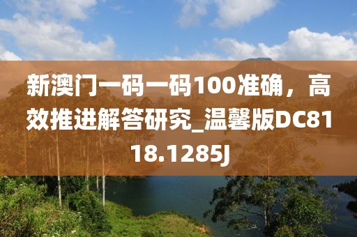 新澳门一码一码100准确，高效推进解答研究_温馨版DC8118.1285J