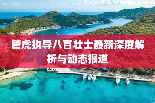管虎执导八百壮士最新深度解析与动态报道