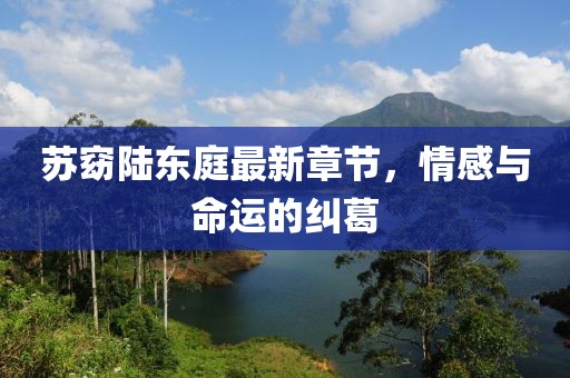 苏窈陆东庭最新章节，情感与命运的纠葛