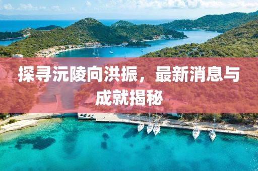探寻沅陵向洪振，最新消息与成就揭秘