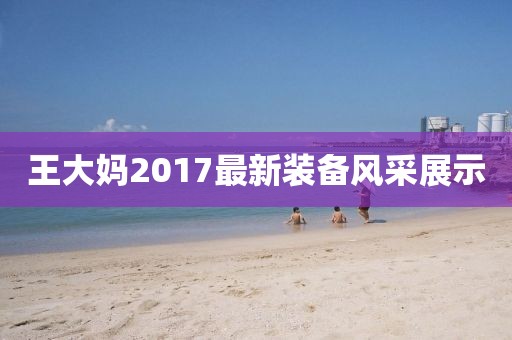 王大妈2017最新装备风采展示