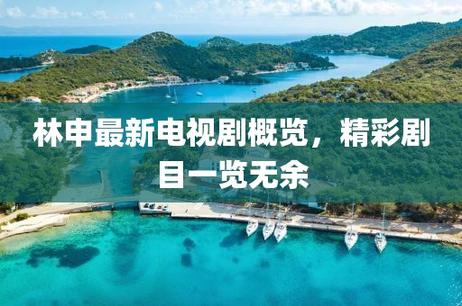 林申最新电视剧概览，精彩剧目一览无余