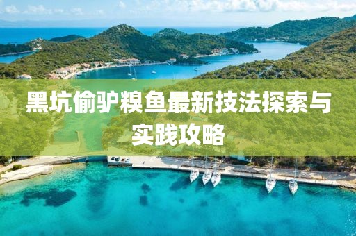 黑坑偷驴糗鱼最新技法探索与实践攻略