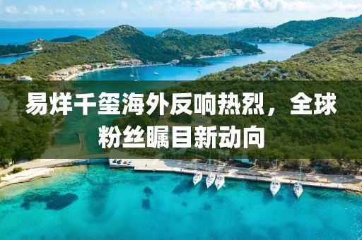 易烊千玺海外反响热烈，全球粉丝瞩目新动向