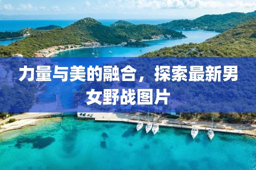 力量与美的融合，探索最新男女野战图片