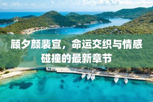 顾夕颜裴宣，命运交织与情感碰撞的最新章节