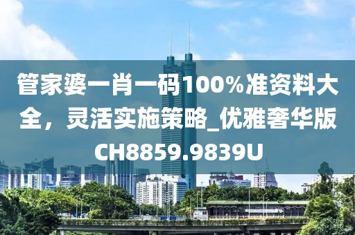 管家婆一肖一码100%准资料大全，灵活实施策略_优雅奢华版CH8859.9839U