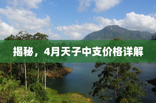 揭秘，4月天子中支价格详解