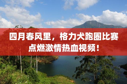 四月春风里，格力犬跑圈比赛点燃激情热血视频！