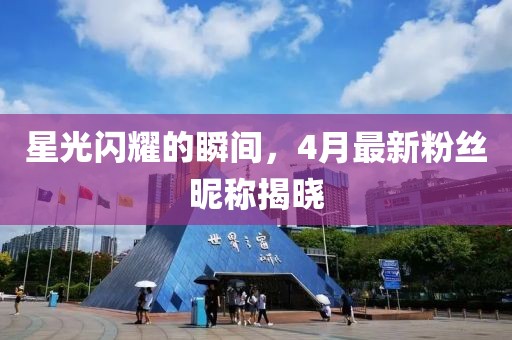 星光闪耀的瞬间，4月最新粉丝昵称揭晓