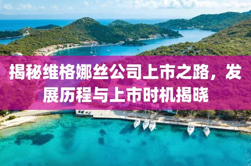 揭秘维格娜丝公司上市之路，发展历程与上市时机揭晓