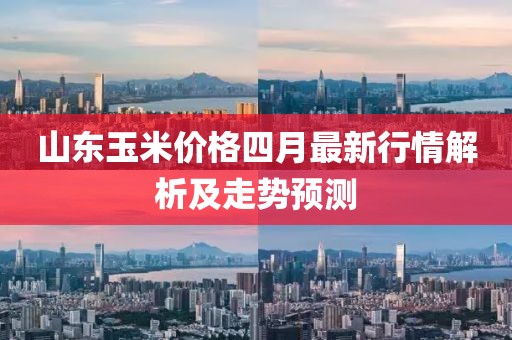 山东玉米价格四月最新行情解析及走势预测